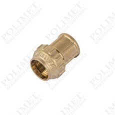 Муфта с внутренней резьбой для труб ПНД S25х3/4F