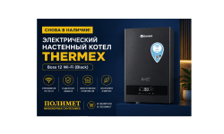 СНОВА В НАЛИЧИИ THERMEX Boss 12 Wi-Fi (Black)